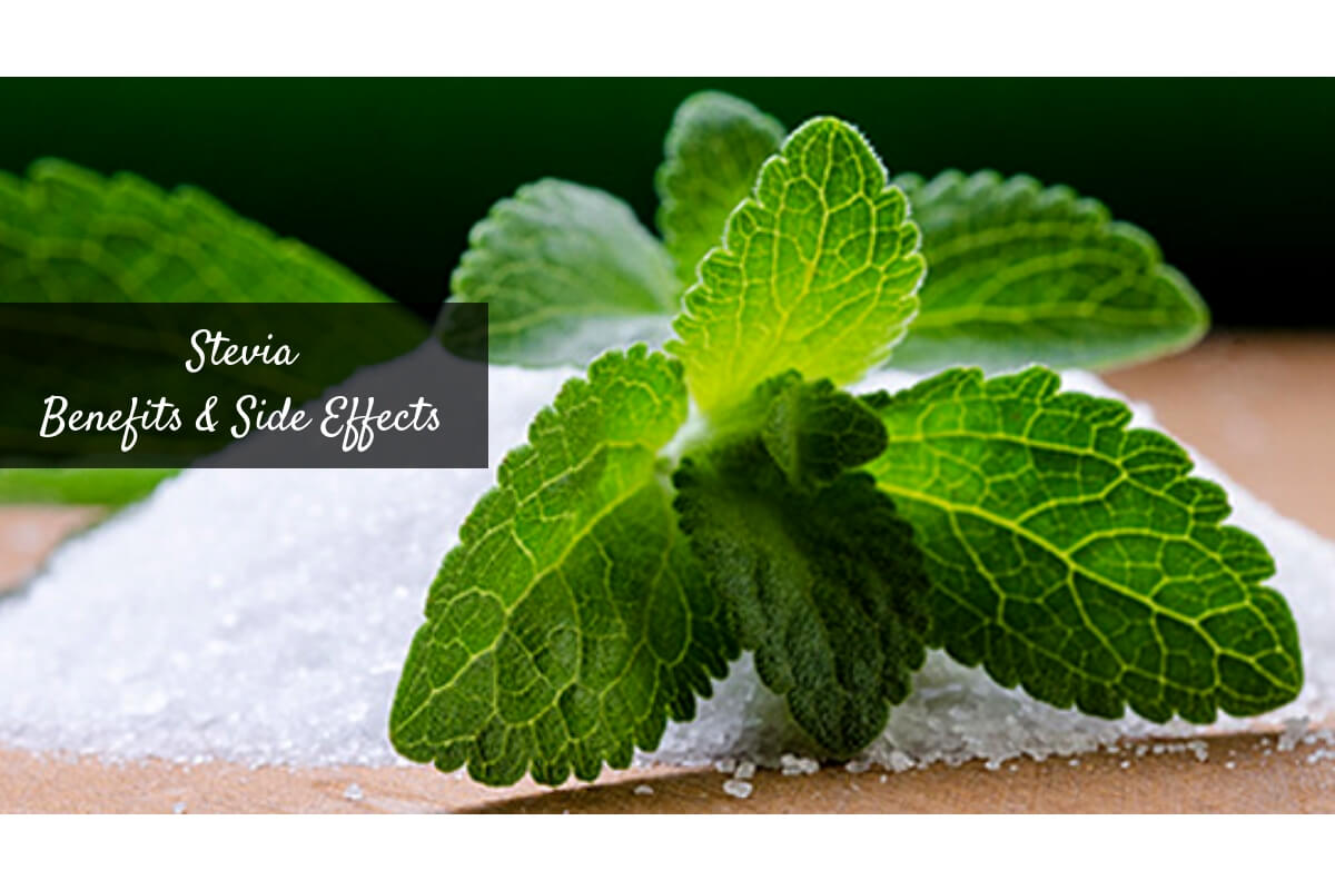 Is Stevia Safe & Healthy? Here Are Stevia Benefits & Potential Side