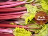 What Is Rhubarb _ Ayurvedum