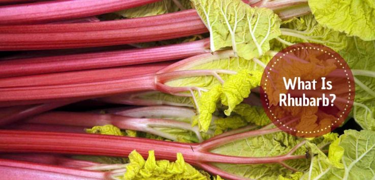 What Is Rhubarb _ Ayurvedum