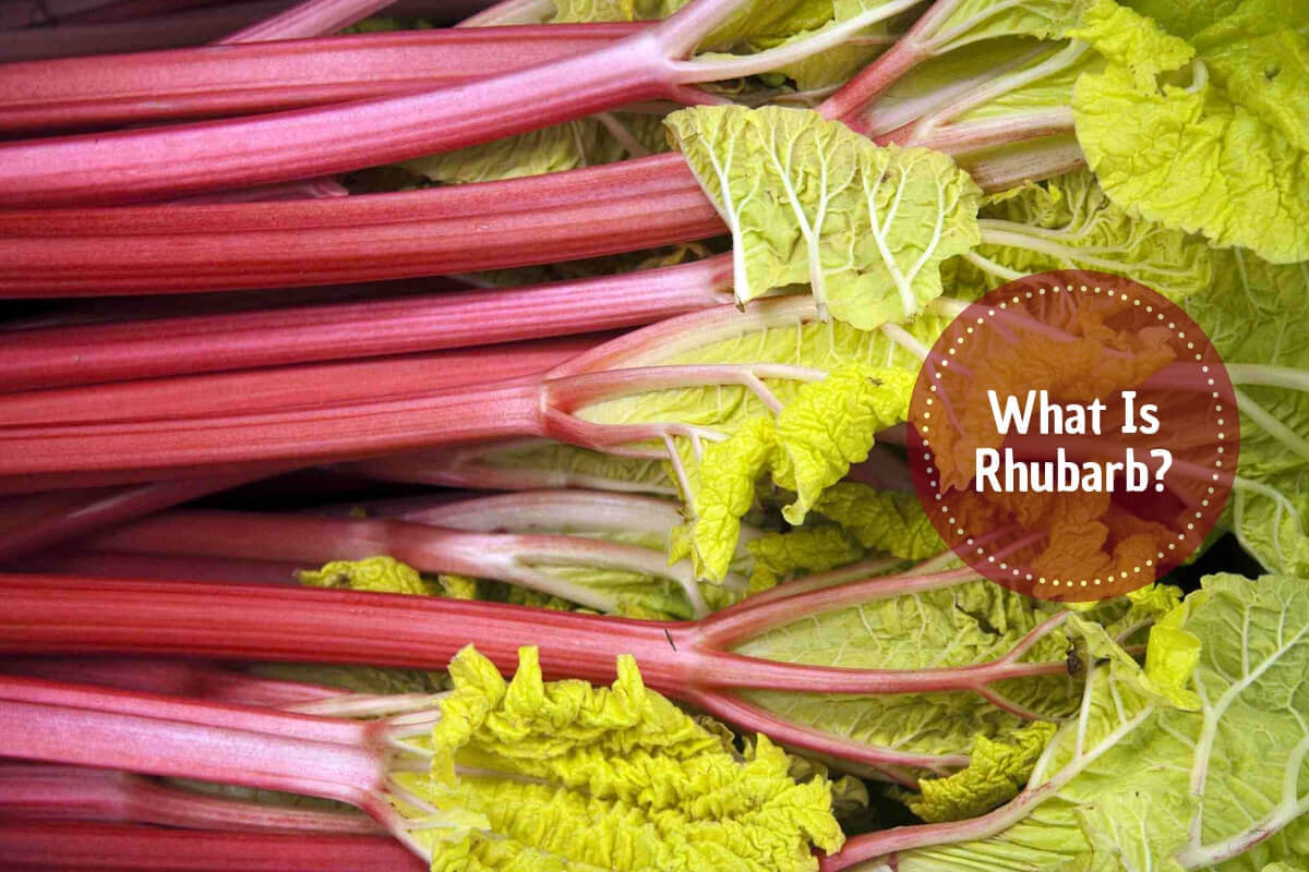 What Is Rhubarb? Here Are Recipes & Health Benefits