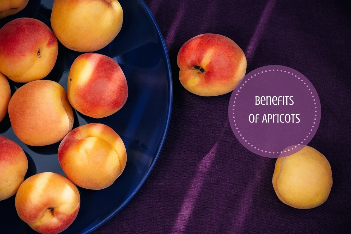 Apricot Health Benefits A Yummy Fruit Packed With Goodness
