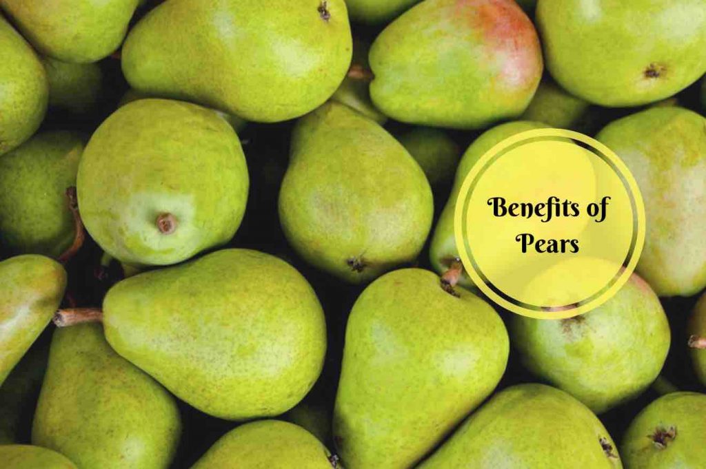 benefits of pears Ayurvedum