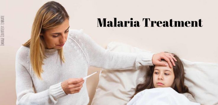 malaria treatment _ Ayurvedum (1)