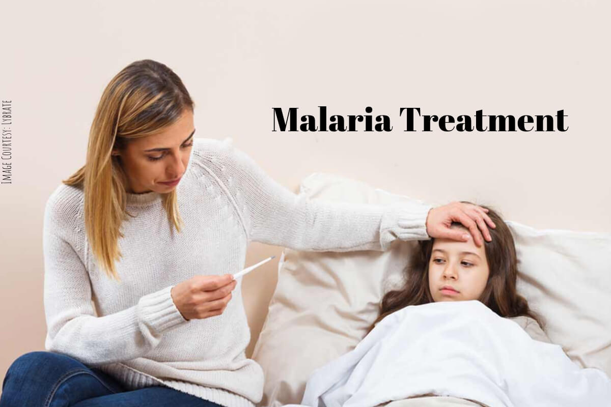 Malaria Treatment Home Remedies To Prevent The Infection