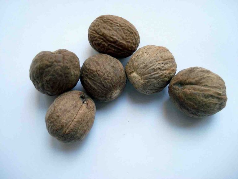 Nutmeg Benefits And Side Effects You Ought To Discover Now