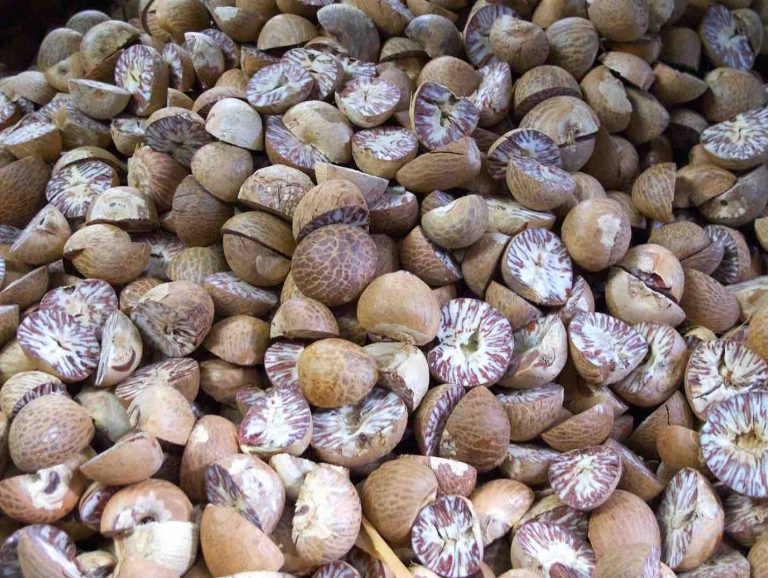 Nutmeg Benefits And Side Effects You Ought To Discover Now