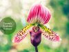 Tourette's Syndrome _ Ayurvedum