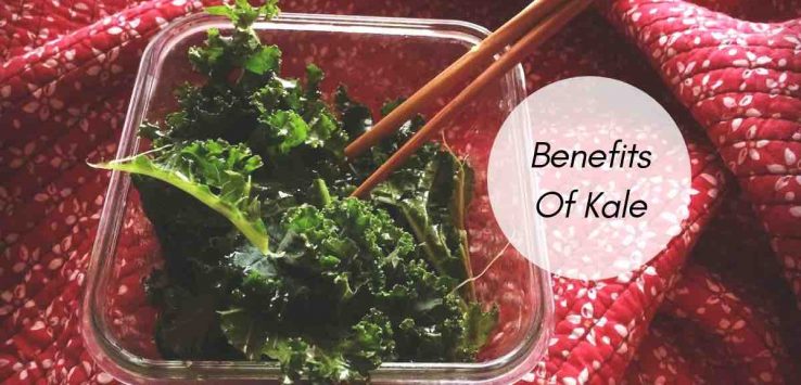 benefits of kale