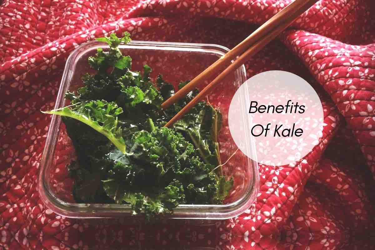 Benefits Of Kale From Weight Loss To Stronger Immunity