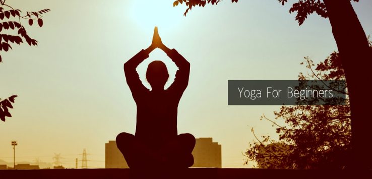 yoga poses for beginners _ Ayurvedum