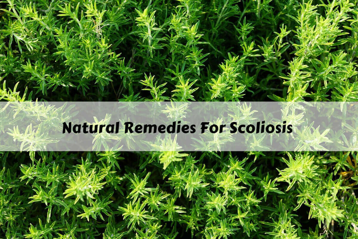 Curved Spine? Try These Natural Remedies To Treat Scoliosis!