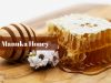 Manuka Honey Health Benefits _ Ayurvedum