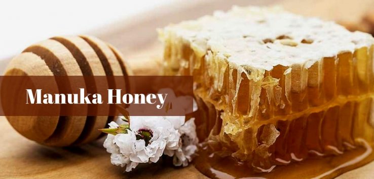 Manuka Honey Health Benefits _ Ayurvedum