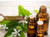 Neroli oil Benefits _ Ayurvedum