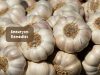 what is an aneurysm _ ayurvedum