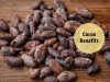 cacao benefits