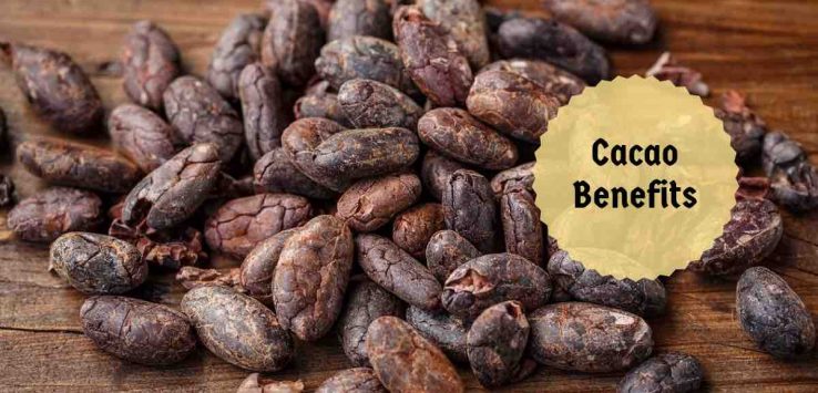 cacao benefits