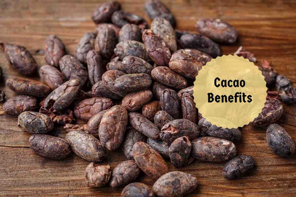 Cacao Benefits 7 Reasons To Enjoy This Superfood GuiltFree!