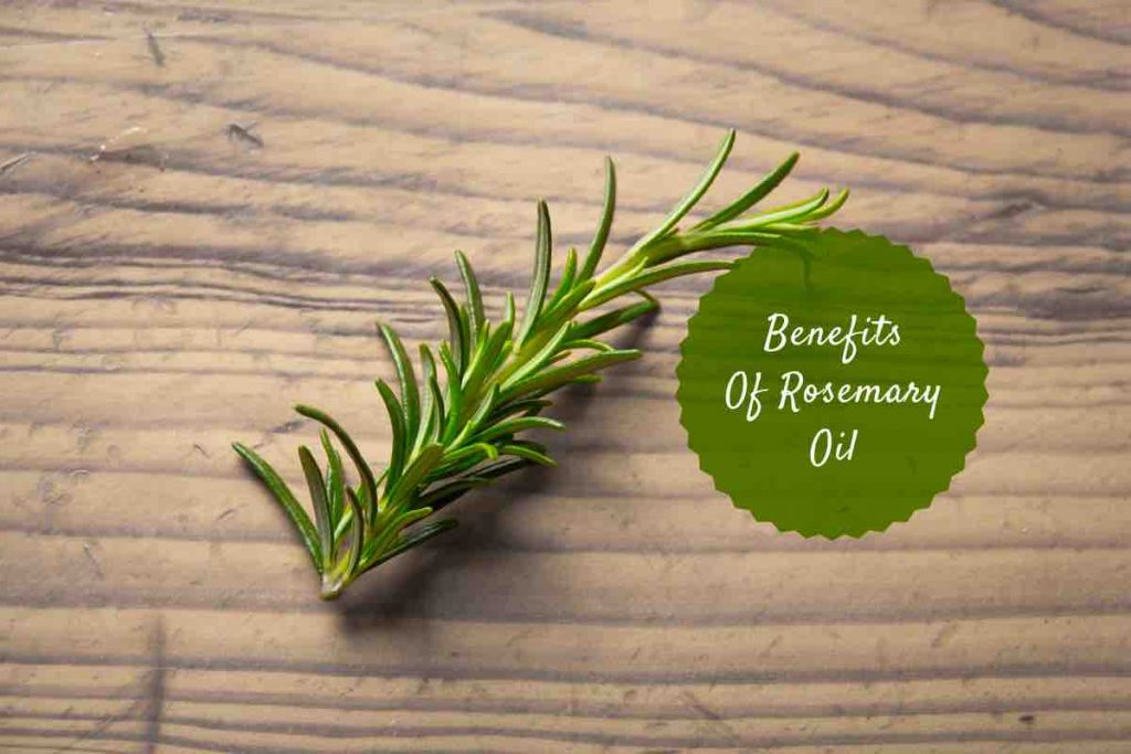 rosemary oil Ayurvedum