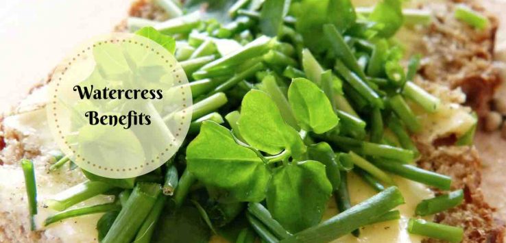 watercress health benefits