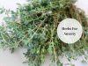 anti anxiety herbs