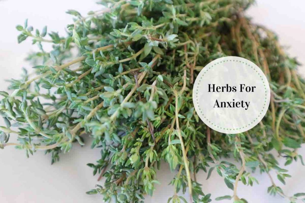anti anxiety herbs