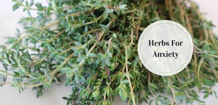 anti anxiety herbs