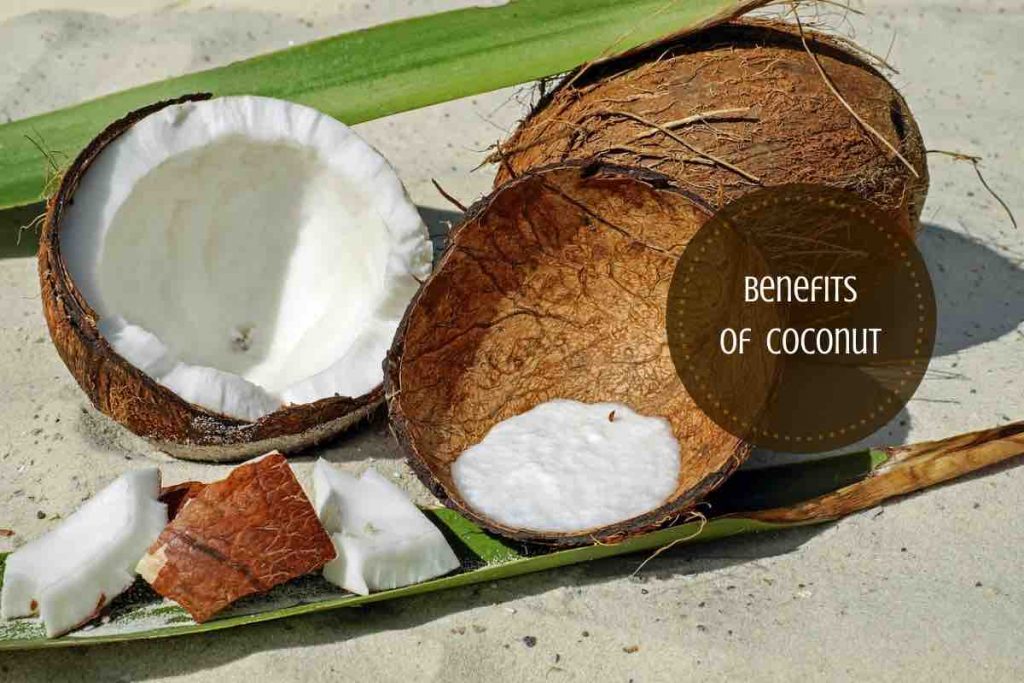 Benefits Of Eating Coconut Ayurvedum benefits-of-eating-coconut-during