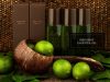 Bergamot Essential Oil Benefits _ Ayurvedum
