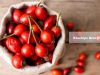 rose hips benefits _ Ayurvedum