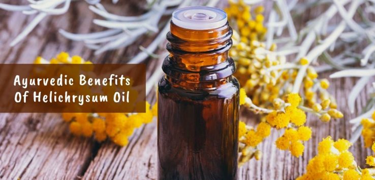 Helichrysum Oil _ Ayurvedum