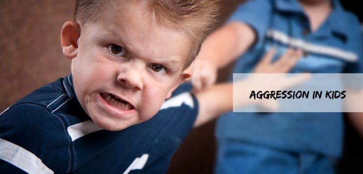 aggression in children _ Ayurvedum