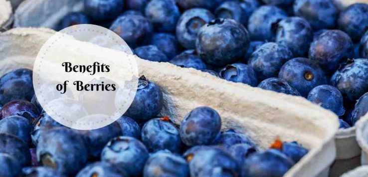 benefits of berries