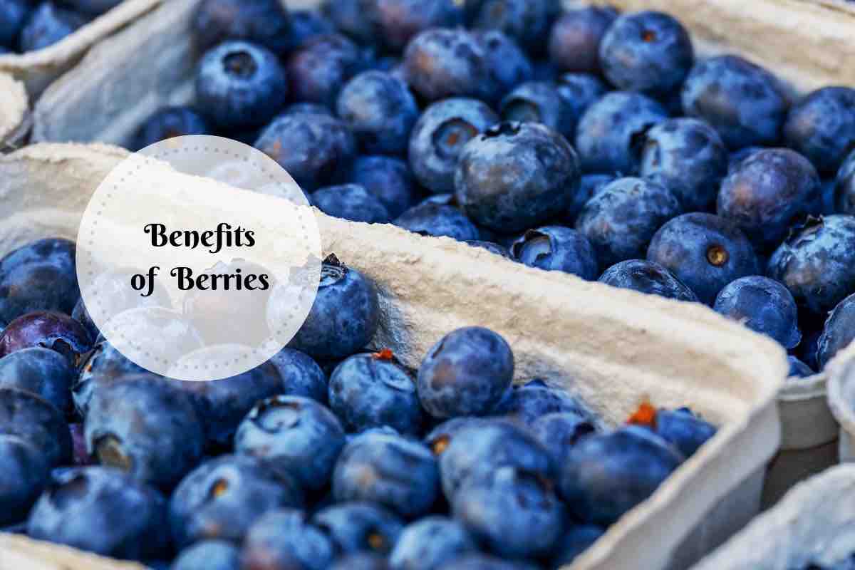 The Different Kinds Of Healthy Berries & Their Fantastic Benefits