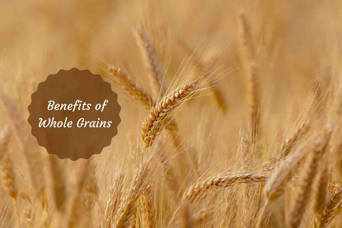 A Whole Grain Foods List And Their Benefits MustKnow Health Facts!