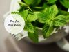 tea for inflammation and pain