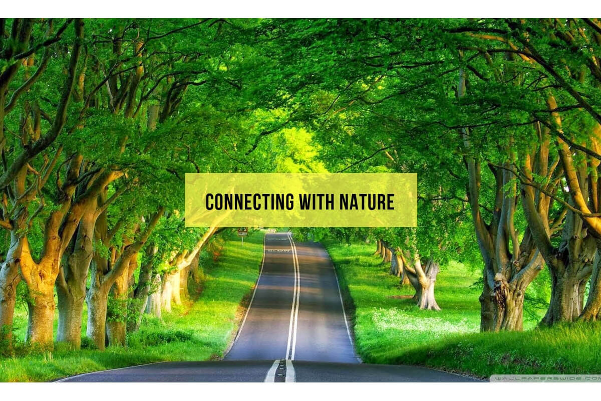 Connecting With Nature Ways To Explore Nature In The Big City Life connecting-with-nature-ways-to-explore-nature-in-the-big-city-life