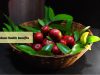 Kokum benefits _ Ayurvedum