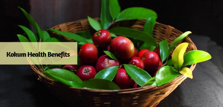 Kokum benefits _ Ayurvedum