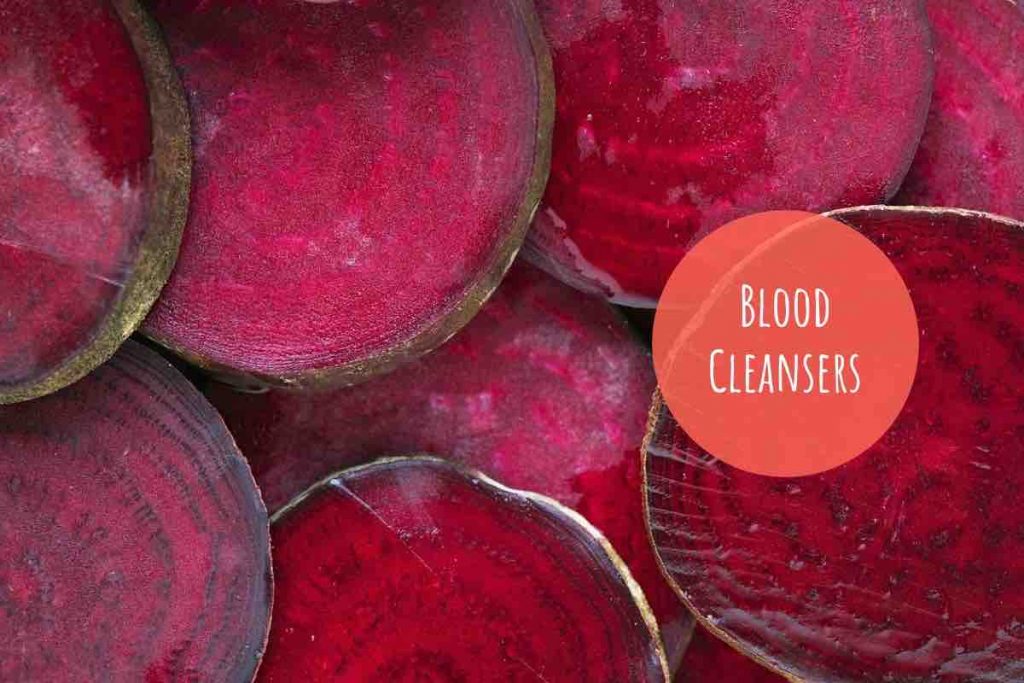 natural blood purifiers Ayurvedum