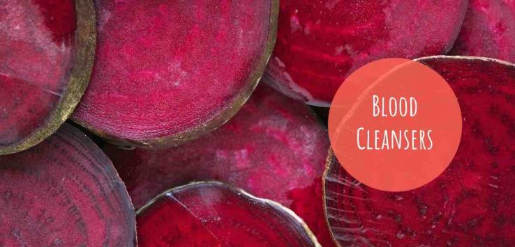 natural blood purifiers