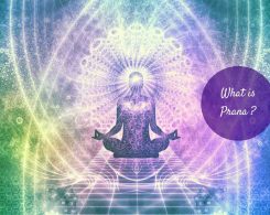 what is prana