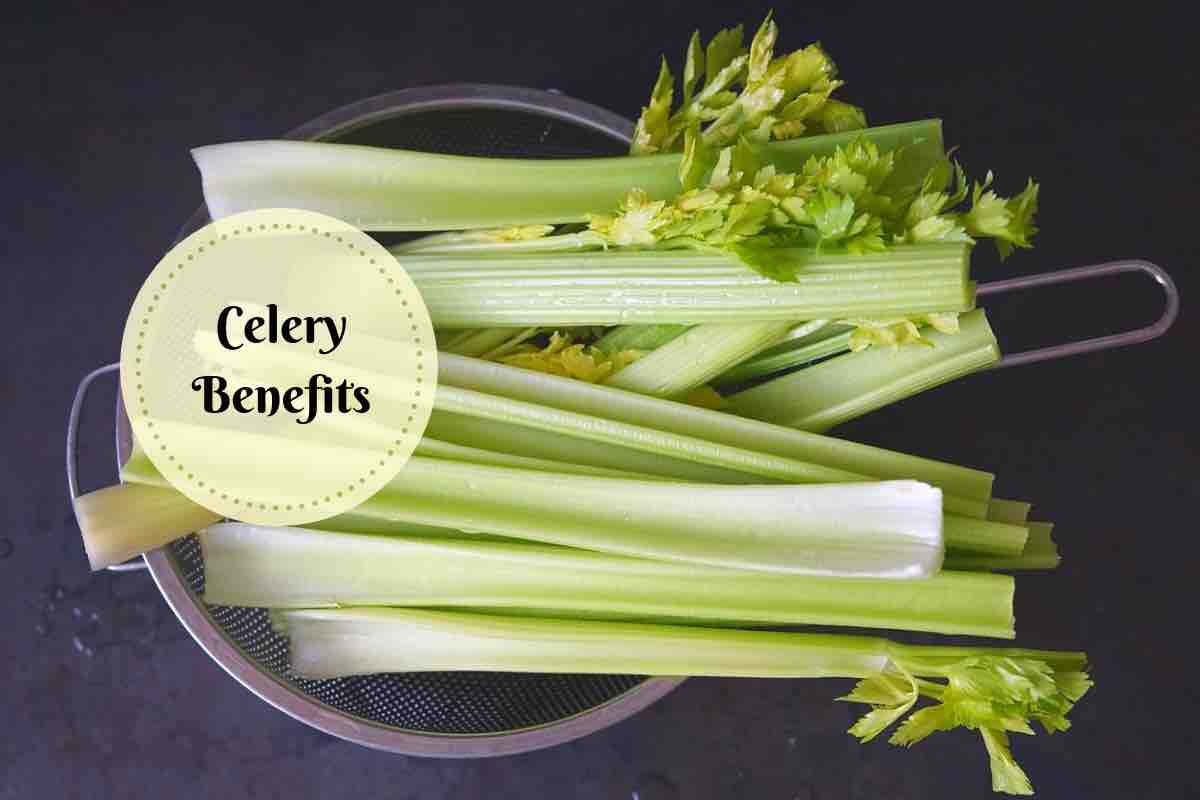 Health Benefits Of Celery Detoxification, Weight Loss & Much More