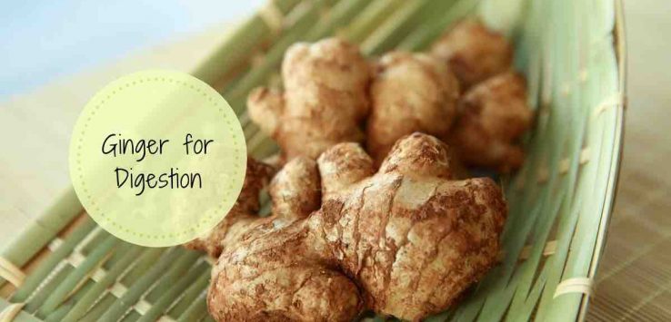 ginger for digestion