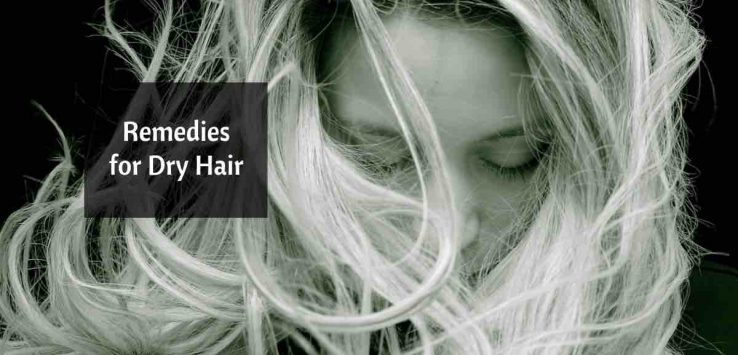 home remedies for dry hair