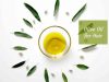 olive oil for hair