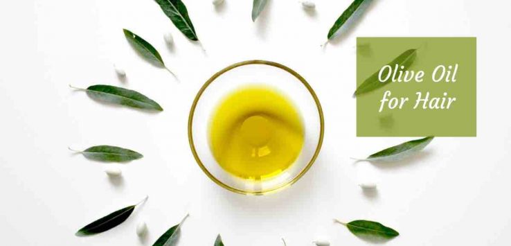 Virgin Olive Oil For Hair: 5 Benefits That Will Definitely Delight You