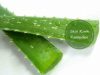 skin rashes remedy