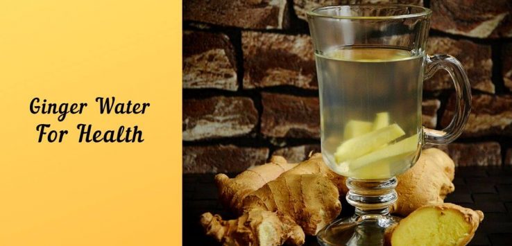 Ginger water _ Ayurvedum