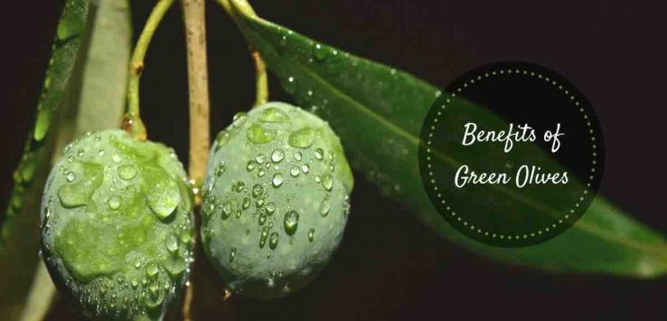 health benefits of green olives